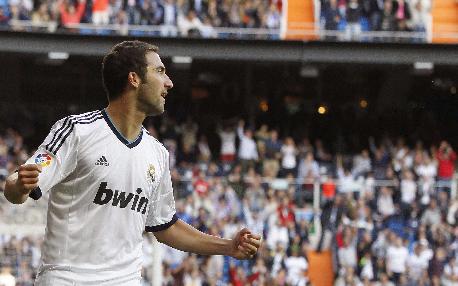 纪录追踪：本赛季多项区域纪录刷新与背景解读，赛季记录