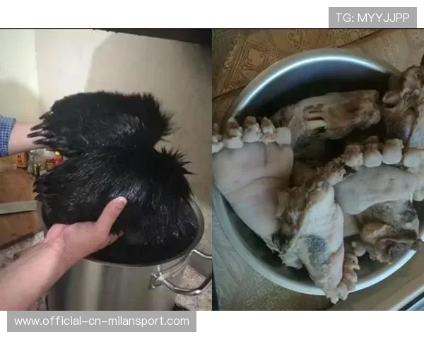 黑熊闹市伤人，俄罗斯小男孩机智脱险，俄罗斯男子把熊打成重伤