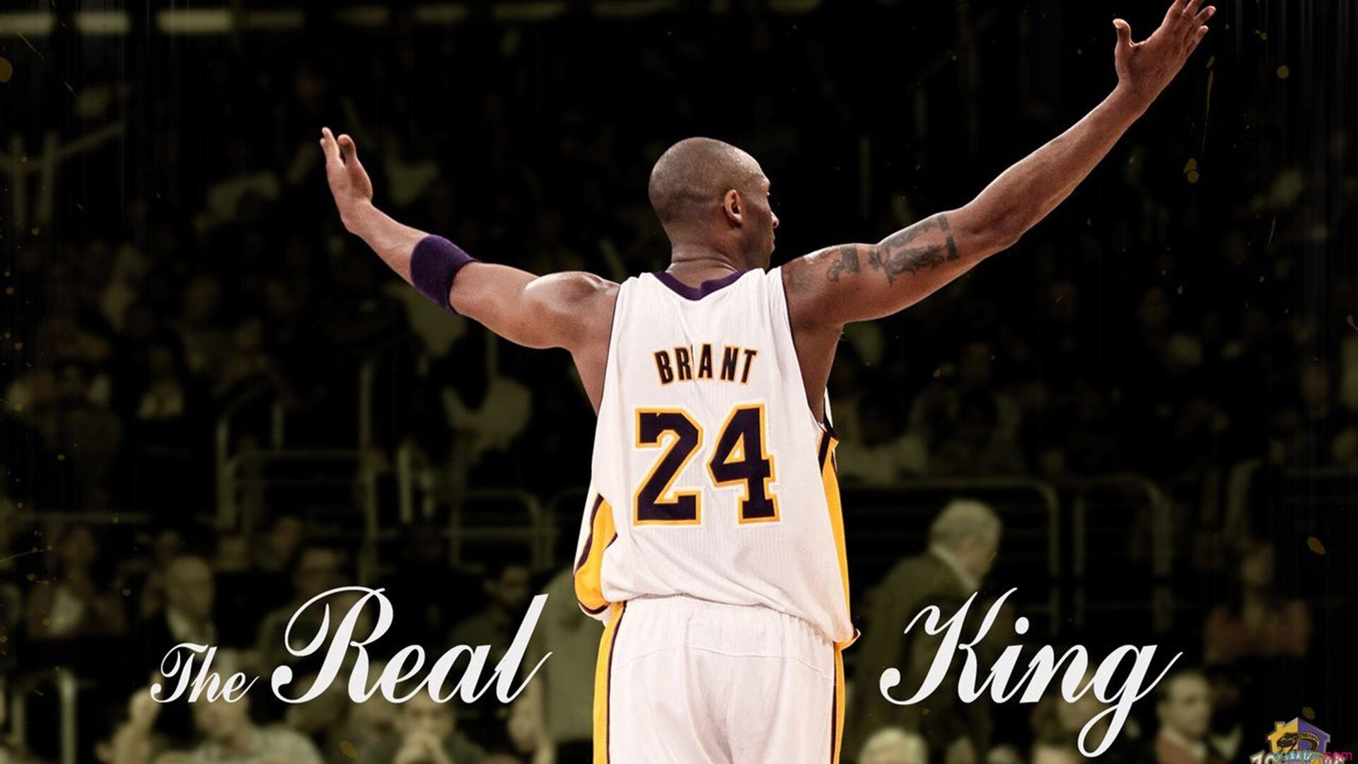 技术动作柔和度对速度影响,技术动作柔和度对速度影响有哪些